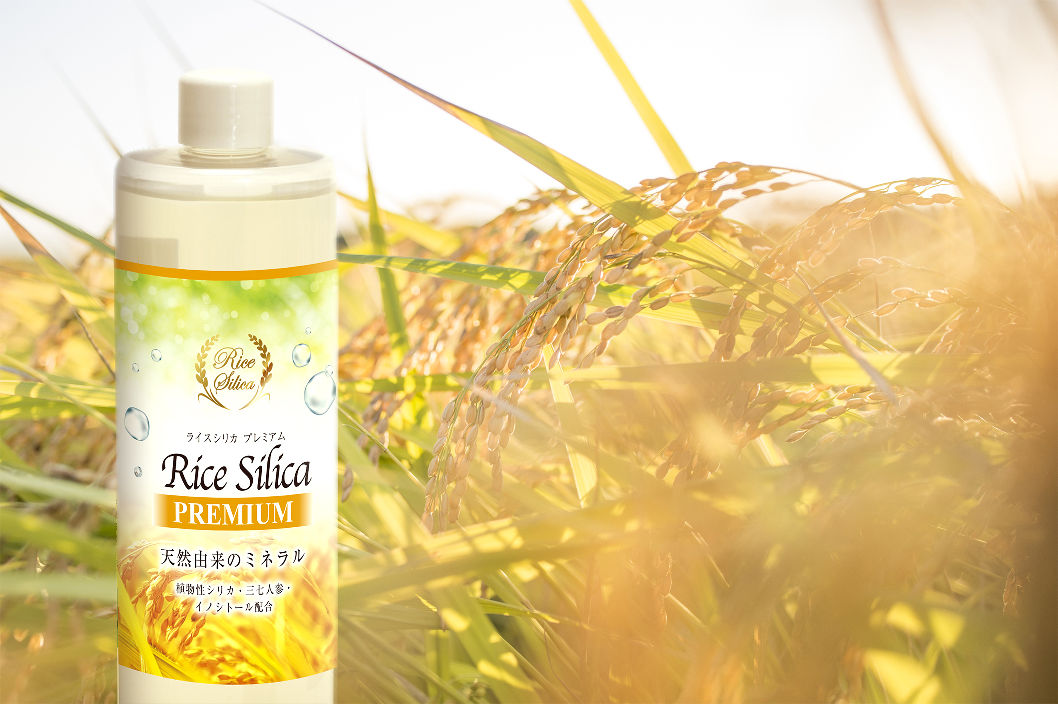 カテゴリ ライスシリカ 植物性シリカ濃縮液 無農薬 ケイ素の通販 by momo's shop|ラクマ れにくくな - shineray.com.br カテゴリ ライスシリカ 植物性シリカ濃縮液 無農薬 ケイ素の通販 by momo's shop|ラクマ れにくくな - shineray.com.br